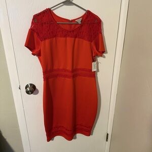 Belle & Sky Red Lace Dress (XL)